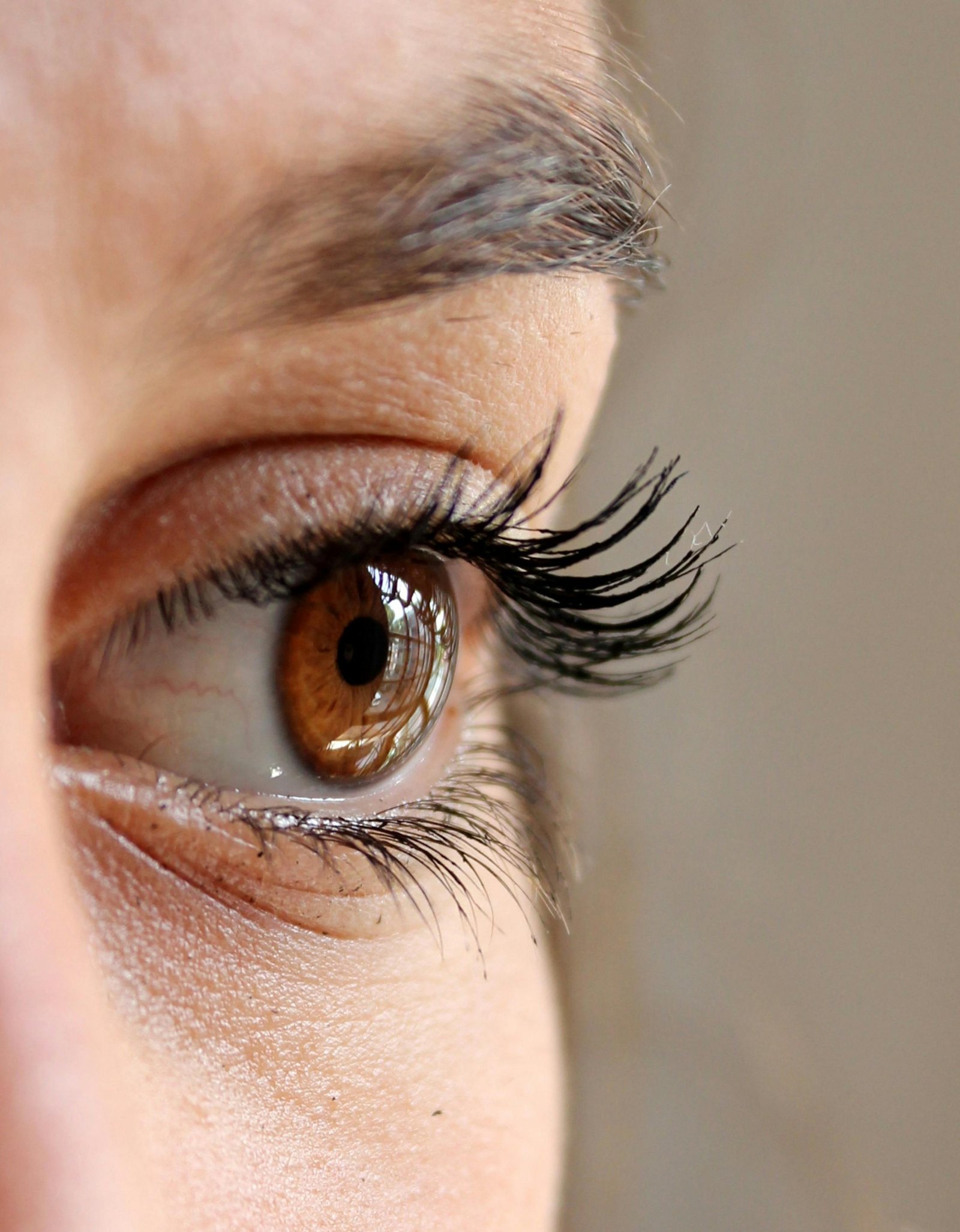 iris and pupils 